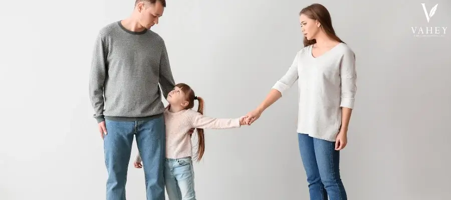 Best Homer Glen Child Custody Lawyer